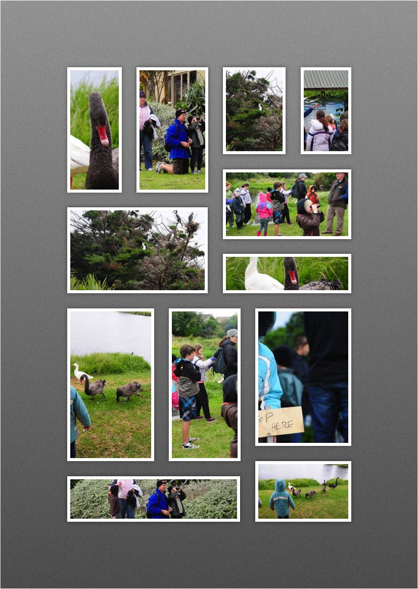 Manawatu Home Educators Waikanae Estuary Photos